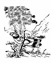 第十一象木刻圖