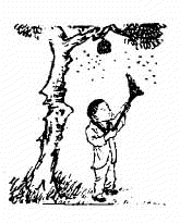 第十五象木刻圖