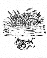 第三四象木刻圖